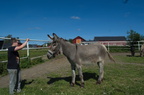  DSC1587