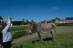  DSC1594