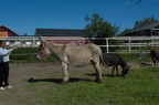  DSC1630