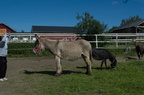  DSC1632