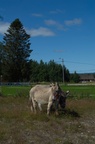  DSC1707