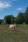  DSC1715