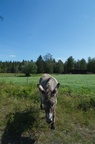  DSC1770
