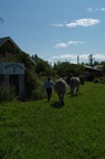  DSC1778